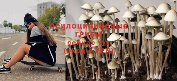 хмурый Богородск
