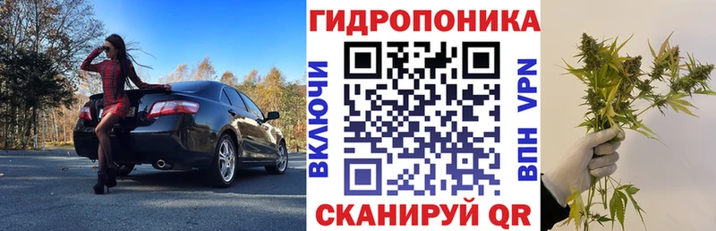 Шишки марихуана VHQ  где найти наркотики  Ногинск 